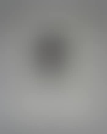 Untitled ,
1979 (preview)