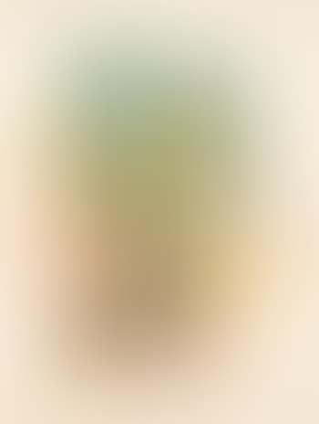 Bouquet I ,
1967 (preview)