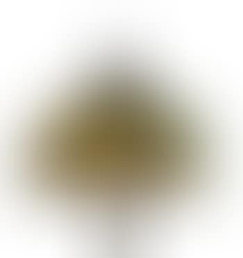 Curtain border leaded lamp , (preview)