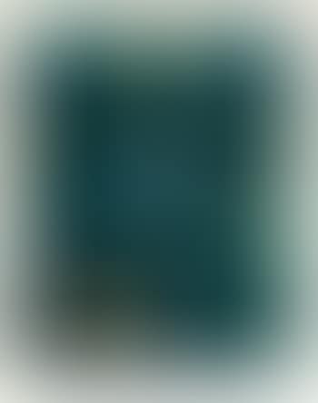 Untitled ,
1975 (preview)