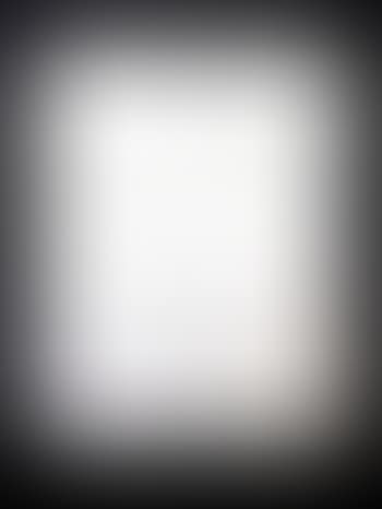 Portrait ,
1954 (preview)