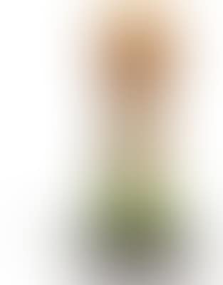 Flovmand (Bashful) ,
2008 (preview)