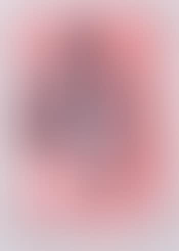 Schoolgirl with rabbits ,
2013 (preview)