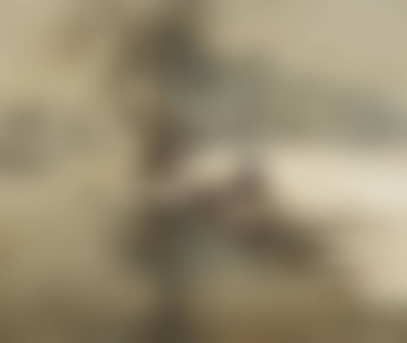 Winter landscape on the lower Rhine , (preview)