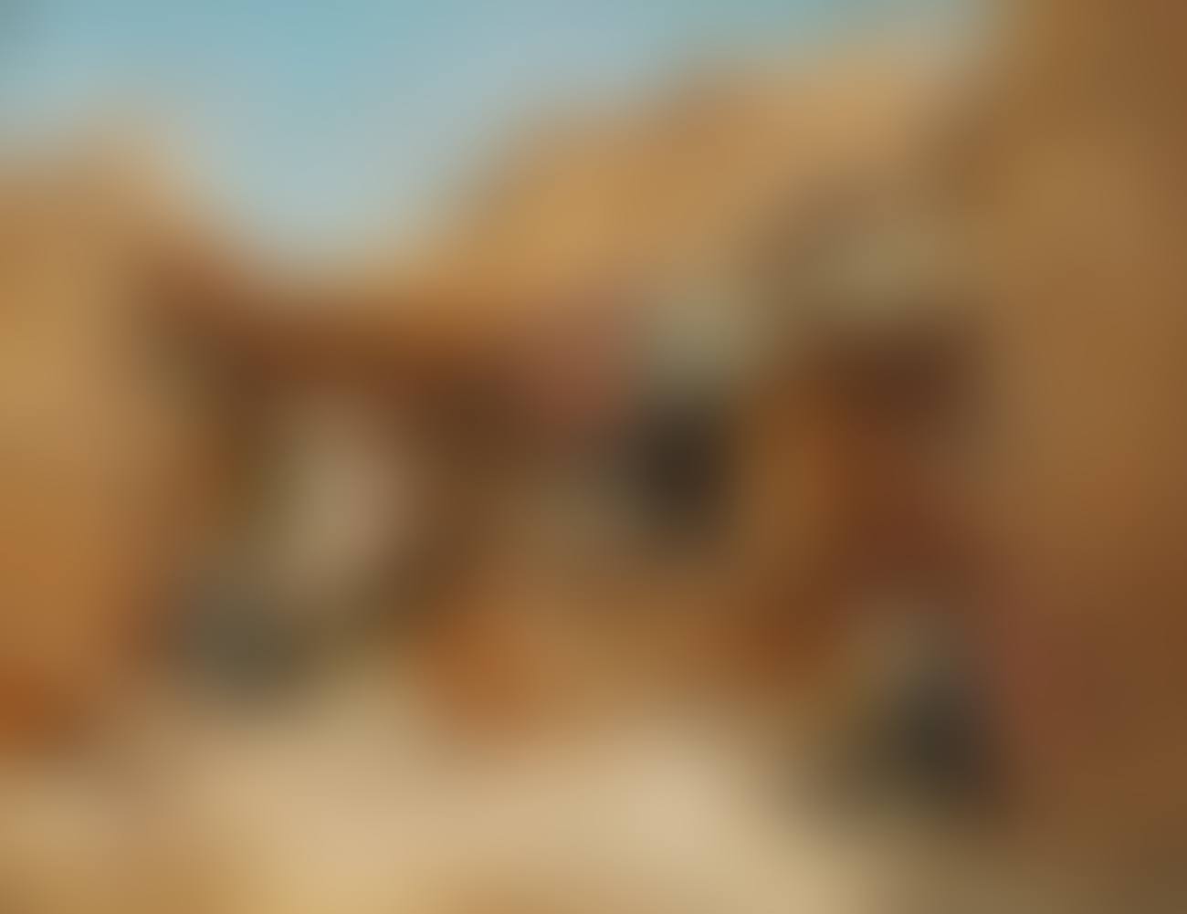 The Bazaar at Khartoum ,
1906 (preview)