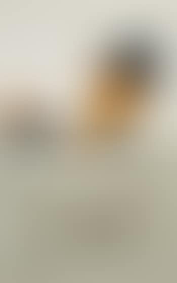 [Untitled] , (preview)
