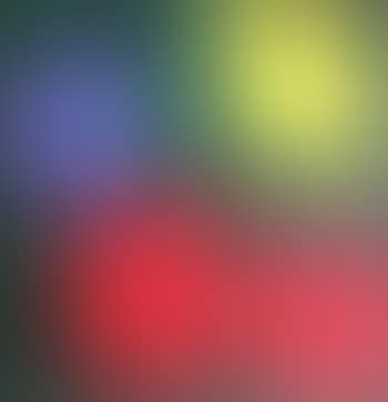 Flowers 2 ,
Circa
1970 (preview)