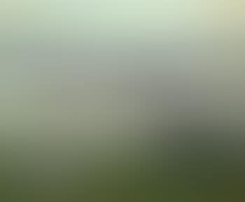 Vera Kuhn Si ing on Grass, Blanford, Nova Scotia , (preview)