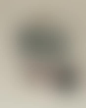 Untitled ,
1975 (preview)