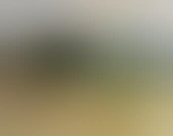 Continental scene with trees and crops , (preview)