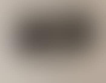 Untitled ,
1972 (preview)