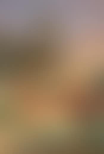 Paysage aux pins ,
1903 (preview)