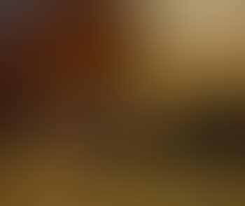 Les moissons , (preview)