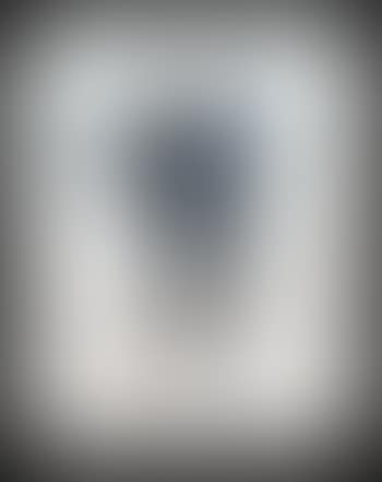 The black cherub ,
1964 (preview)