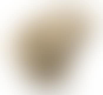 Fauteuil F560 dit Mushroom ,
1963
Fauteuil F560 dit Mushroom ,
1963 (preview)