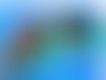 Blue Cantaloupes ,
1979 (preview)