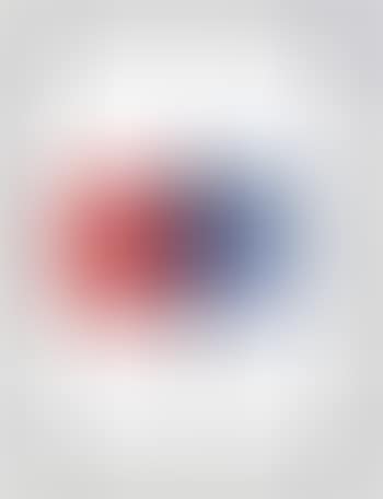 No. 19 (Story of Red and Blue) ,
1989
-
1990 (preview)