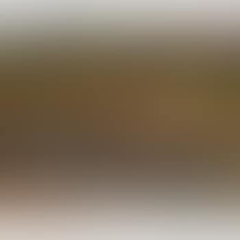Beside the river , (preview)