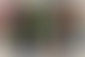Abstract , (preview)
