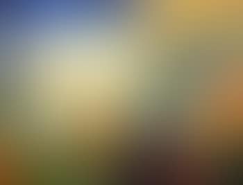 Untitled (moving landscape) ,
2004 (preview)