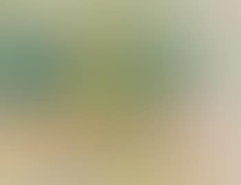 Untitled (Landscape) , (preview)