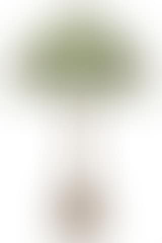 Oversize Table Lamp ,
Circa
1897 (preview)