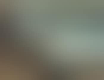 A Grey Morning, California , (preview)
