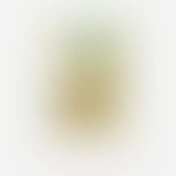 Flower-piece B ,
1975 (preview)
