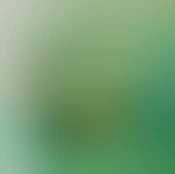 Composition , (preview)
