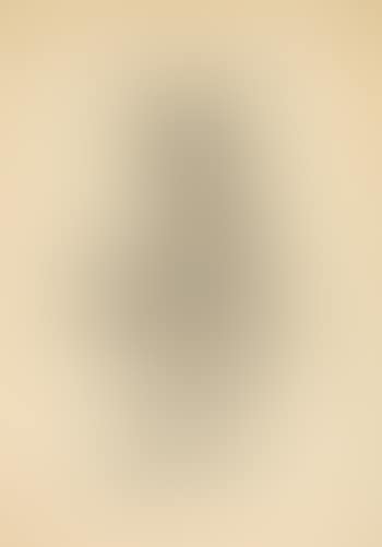 Esel ,
1925 (preview)