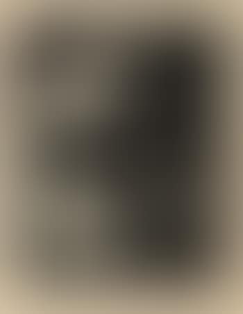Jacqueline lisant ,
1958 (preview)