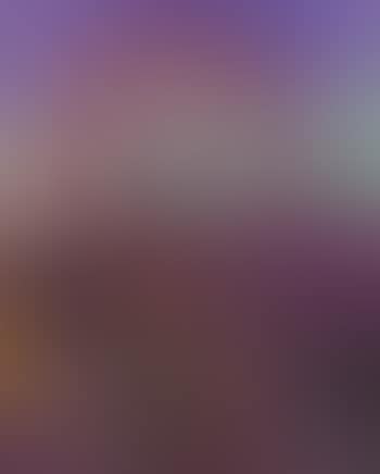 The ferris wheel in the Prater , (preview)
