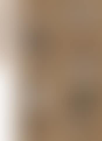 Dogs , (preview)