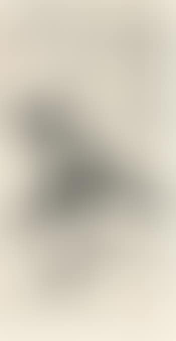 Bamboo , (preview)