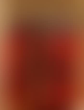 Untitled ,
2004 (preview)