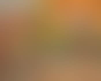 Paysage d'automne , (preview)