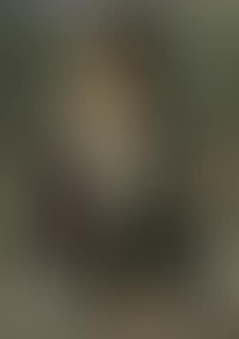 A Young Woman With A Violin , (preview)