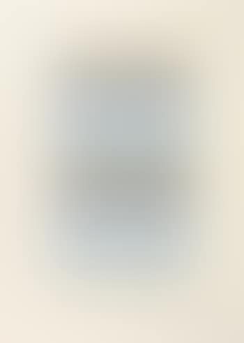 Soup Cans Quad (Cream Paper) ,
2006 (preview)