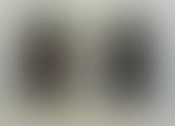 Aquatints series ,
1973 (preview)