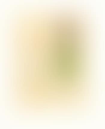 Untitled ,
2005 (preview)
