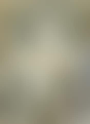 Untitled ,
1960 (preview)