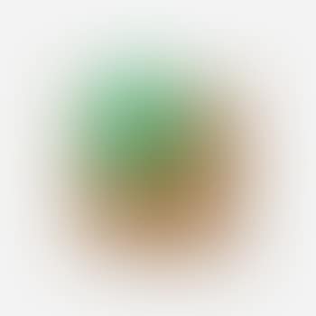 W (from Twenty-Seven Woods for a Chinese Artificial Flower) ,
1995 (preview)