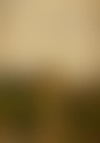 Village en basse-normandie , (preview)