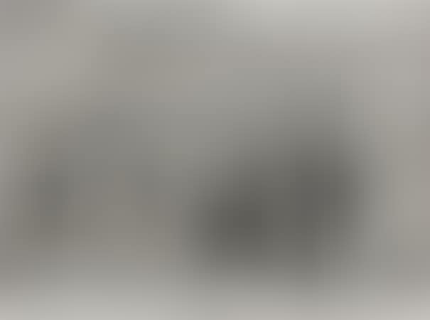 Untitled (Elephants) (preview)