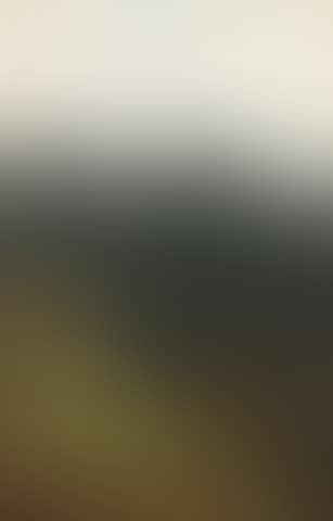 A view of the Sabine mountains (preview)