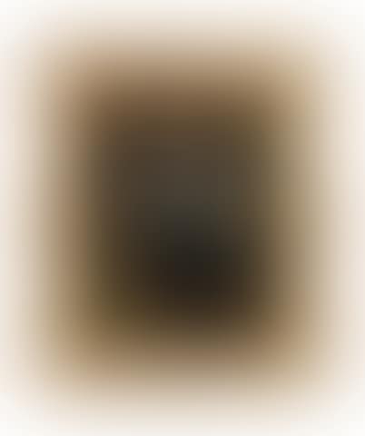 Portrait of a nun, traditionally identified as Caterina Riario Sforza de' Medici, half length, holding a book (preview)