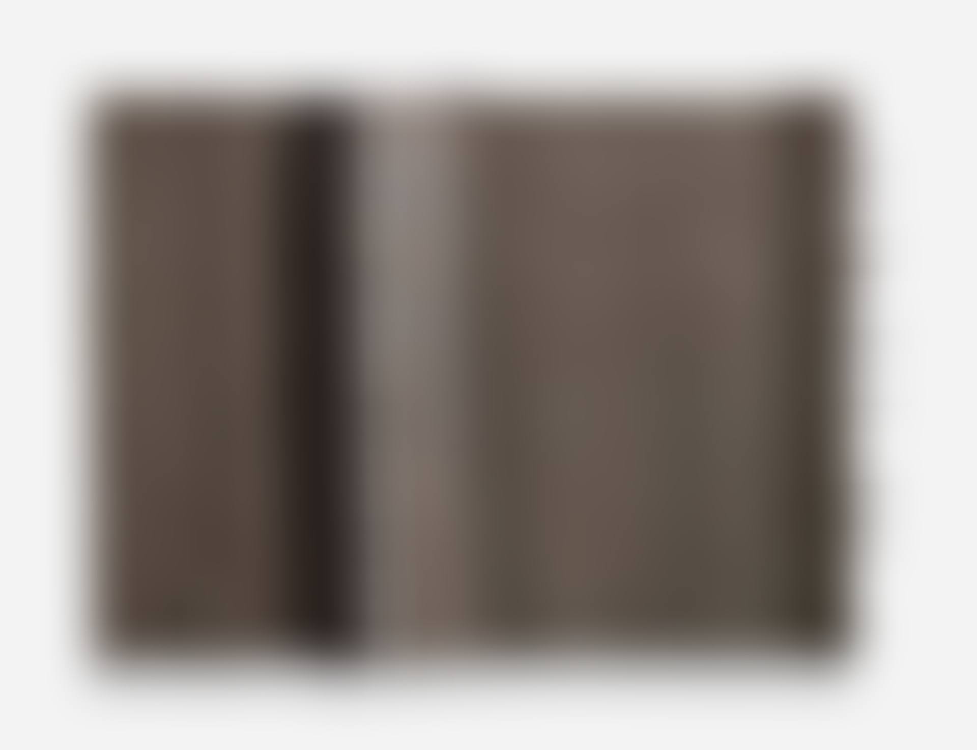 Cementarmato (preview)