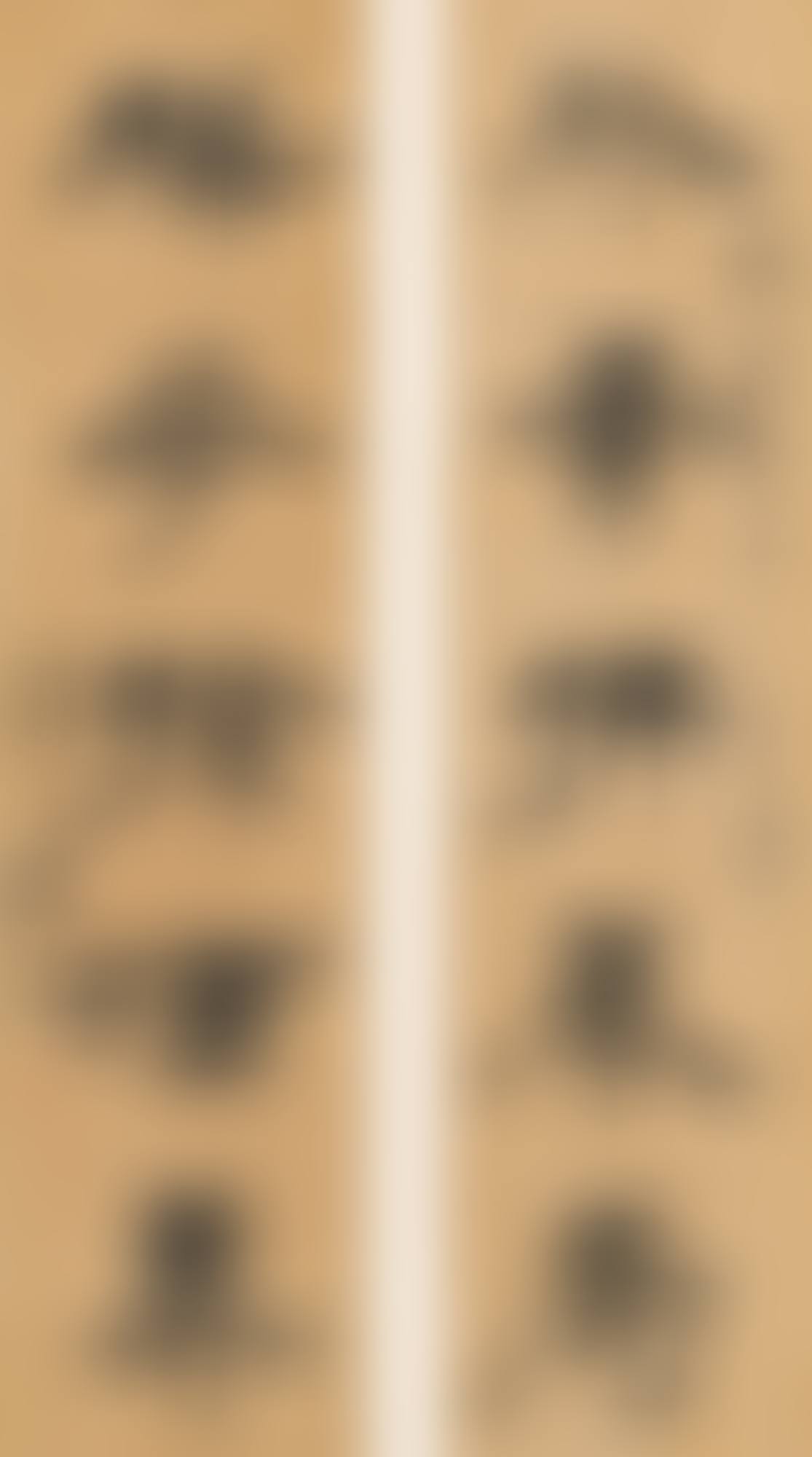 CALLIGRAPHY COUPLET IN CLERICAL SCRIPT (preview)