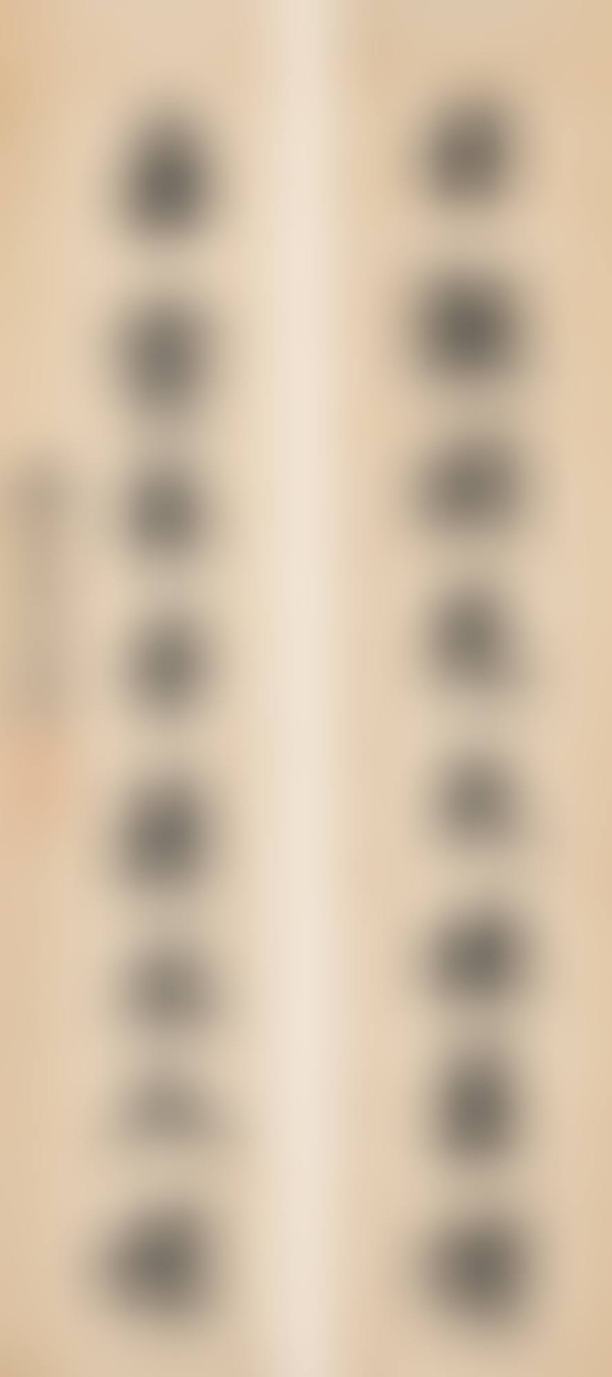 CALLIGRAPHY COUPLET IN RUNNING SCRIPT (preview)