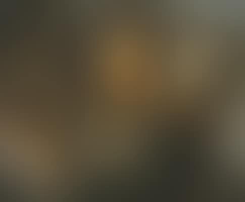 Study of three heads (preview)